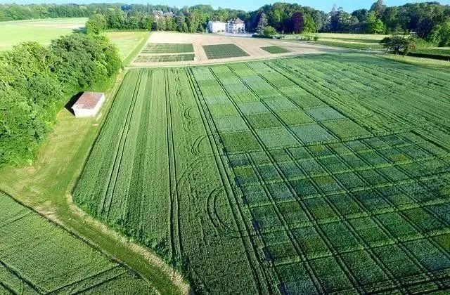 1686034056758853.png 圖片1.png